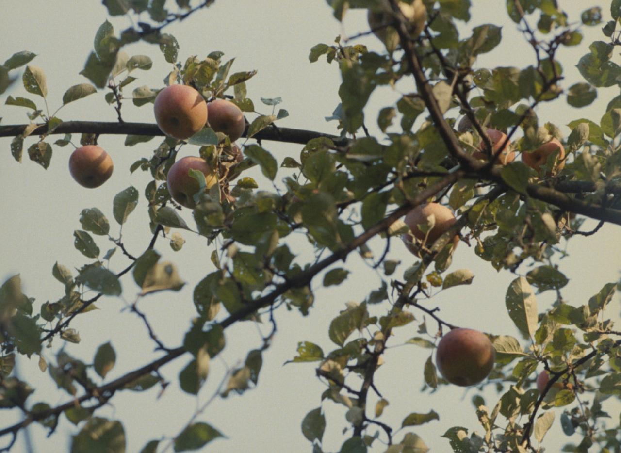 detail-filmu